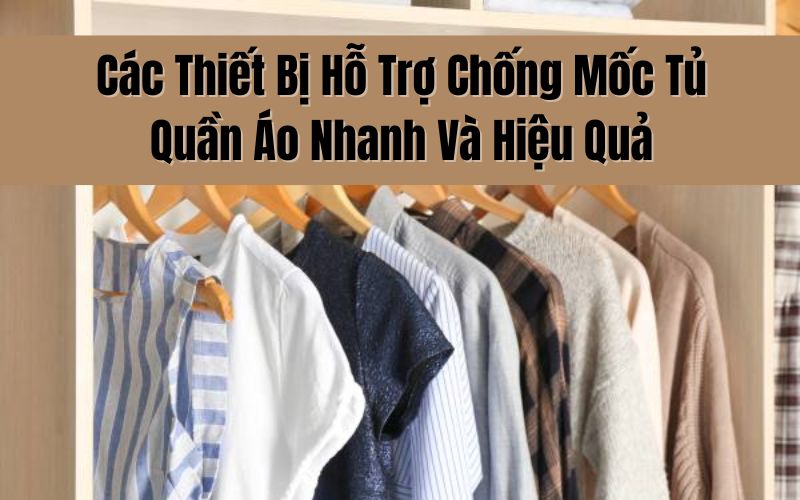 Các Thiết Bị Hỗ Trợ Chống Mốc Tủ Quần Áo Nhanh Và Hiệu Quả