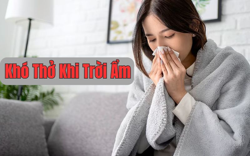 Tại Sao lại Khó Thở Khi Trời Ẩm