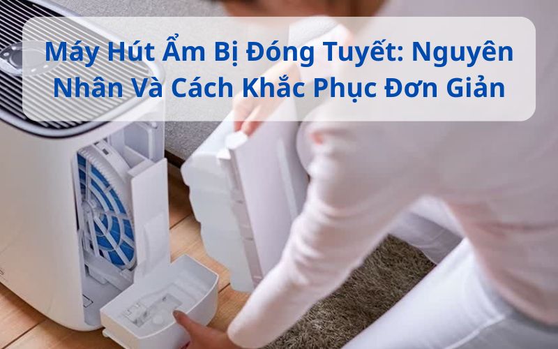 Máy Hút Ẩm Bị Đóng Tuyết: Nguyên Nhân Và Cách Khắc Phục Đơn Giản