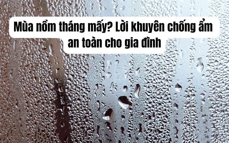 Mùa nồm tháng mấy? Lời khuyên chống ẩm an toàn cho gia đình Mùa nồm tháng mấy? Lời khuyên chống ẩm an toàn cho gia đình