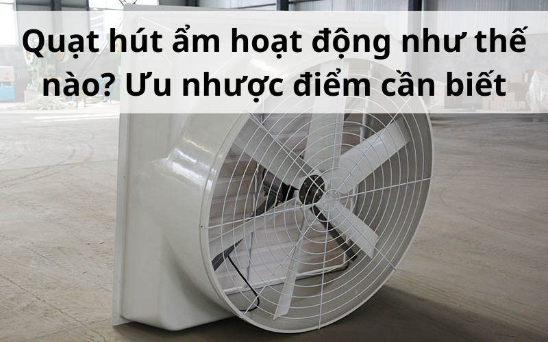 Quạt hút ẩm hoạt động như thế nào? Ưu nhược điểm cần biết Quạt hút ẩm hoạt động như thế nào? Ưu nhược điểm cần biết