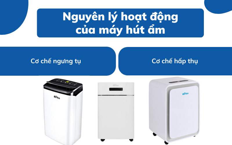 nguyên lý máy hút ẩm