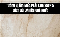 Tường Bị Ẩm Mốc Phải Làm Sao? 5 Cách Xử Lý Hiệu Quả Nhất