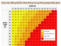 Cách Cân Bằng Độ Ẩm Mùa Đông Trong Phòng Ngủ Hiệu Quả
