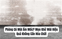 Phòng Có Mùi Ẩm Mốc? Mẹo Khử Mùi Hiệu Quả Không Cần Hóa Chất