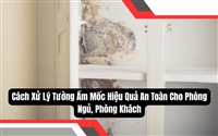 Cách Xử Lý Tường Ẩm Mốc Hiệu Quả An Toàn Cho Phòng Ngủ, Phòng Khách